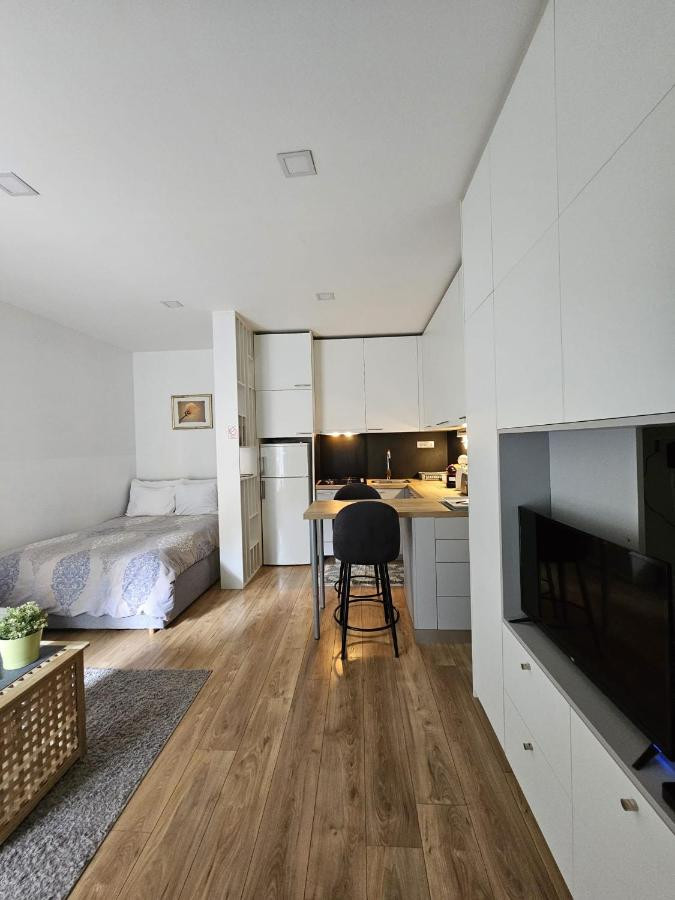 Interior, Poppy Apartments Zagreb (MINT) near city center, Croatia Zagreb