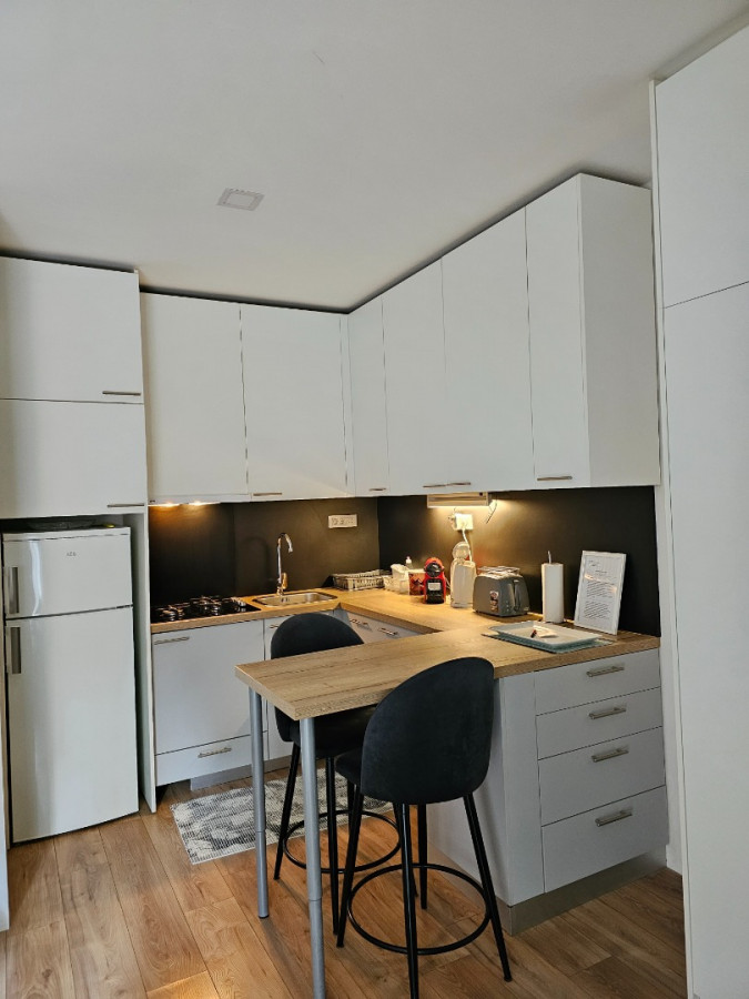 Interior, Poppy Apartments Zagreb (MINT) near city center, Croatia Zagreb